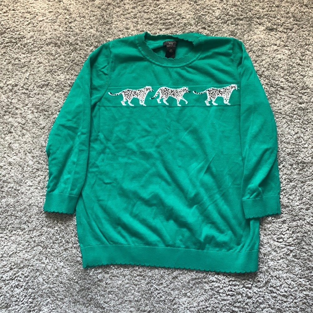 Ann Taylor sweater